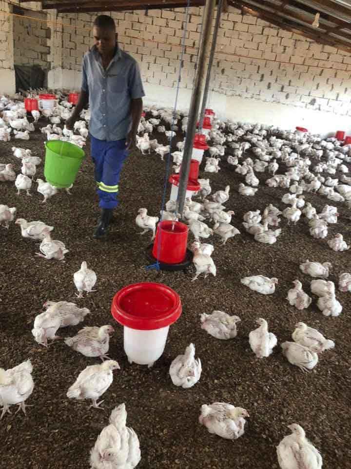 PHOTO-2025-09-11-16-19-25